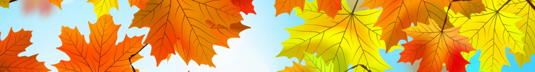 Banner illustration of red, orange, green, yellow fall foliage