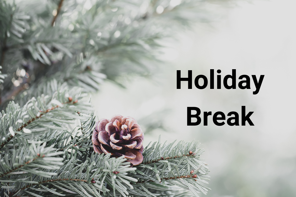 Holiday Break graphic featuring closeup of pine branches with a pine cone against a blurry white background
