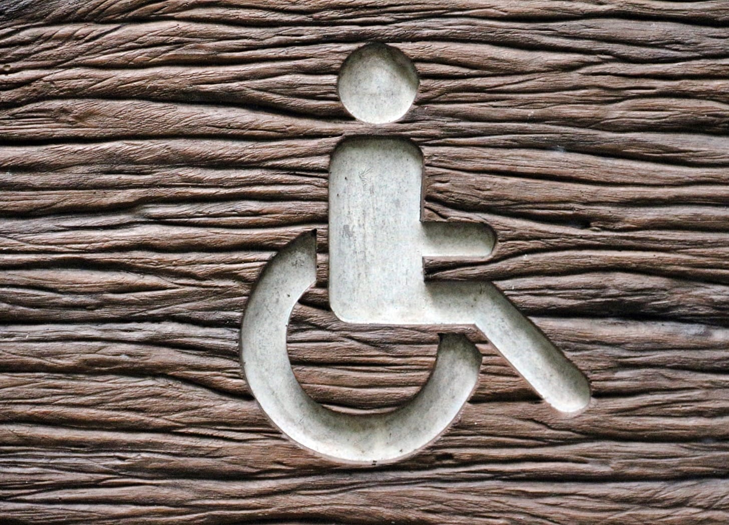 Disability Thinking Weekday: 12/12/24