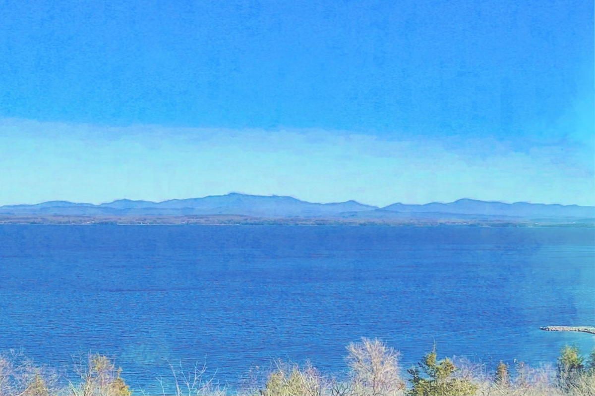 Artistic rendering of a lake view with blue sky, mountains in the distance, and treetops in the foreground